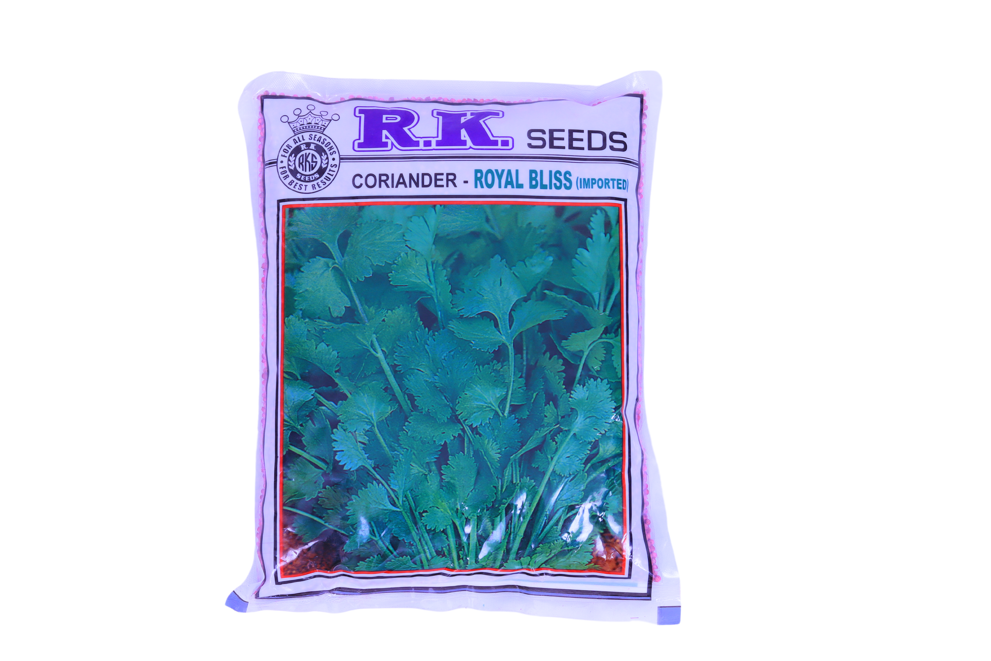 CORIANDER ROYAL BLISS (IMPROTED) (ROUND SEED)